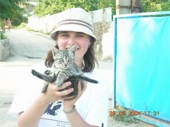 Мучаем котиков